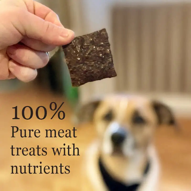 Dr. Becker's Organic Beef Bites - Proactive Paws