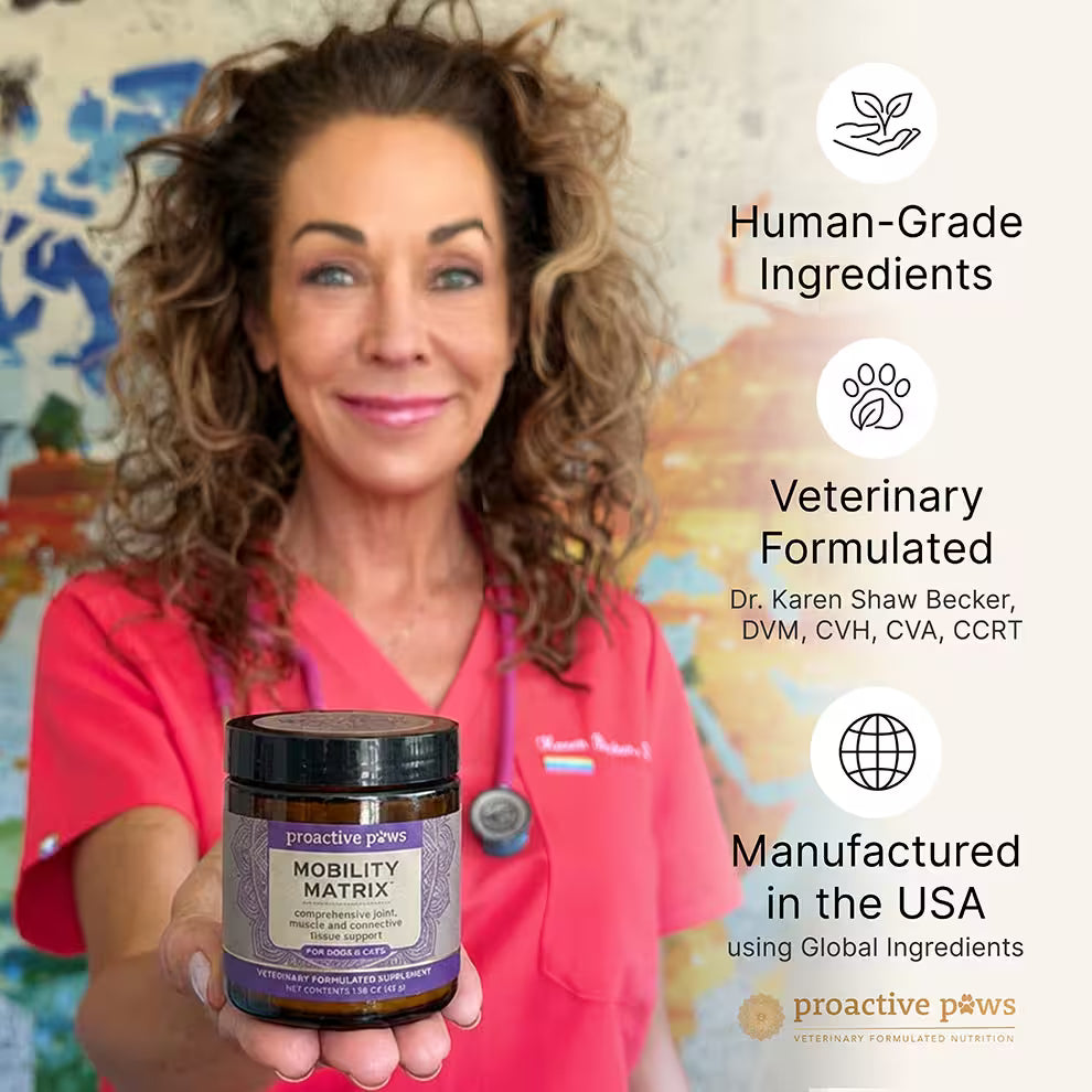 proactive paws mobility matrix with dr karen becker