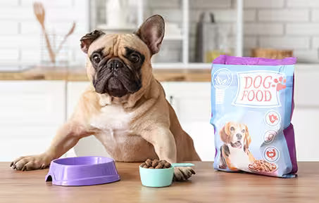 dog and dog food in a kitchen setting