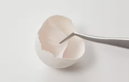 Exposed eggshell membrane inside a cracked eggshell held with tweezers.