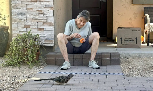woman feeding bird