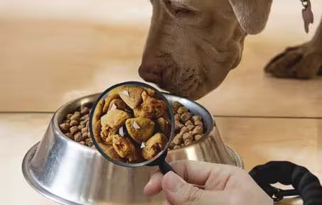 Microplastic in Pet food