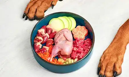 raw-dog food bowl with meat and vegetables