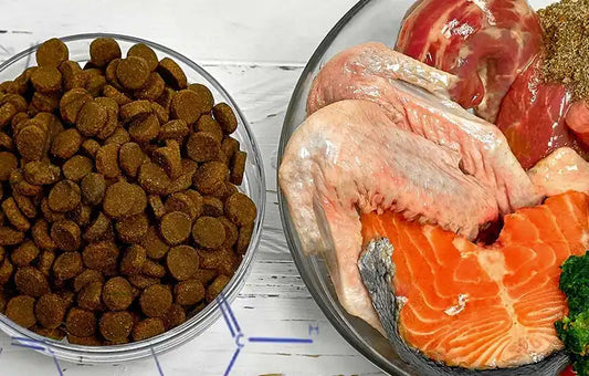 A bowl of dry kibble beside a bowl filled with raw pet food ingredients