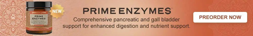 Prime Enzymes Comprehensive pancreatic and gall bladder support for enhanced digestion and nutrient support.