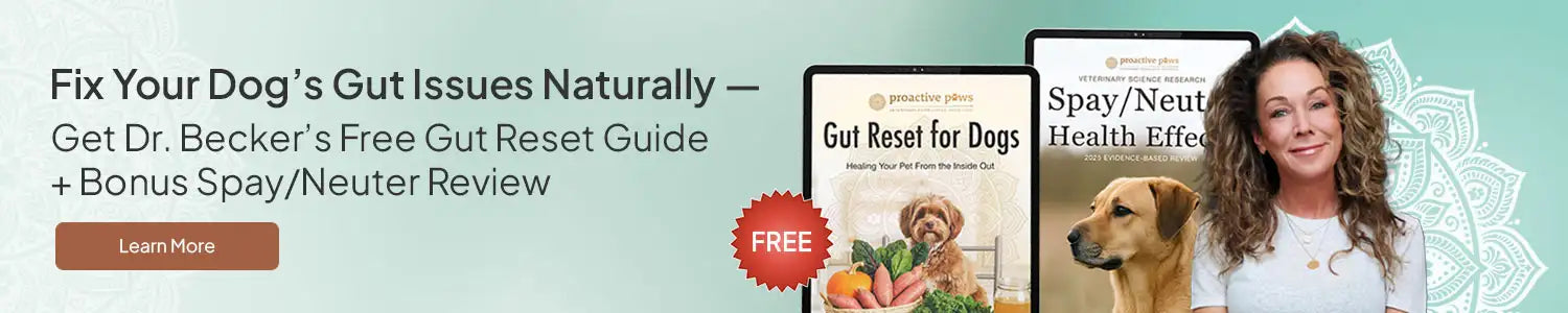 Dr. Karen Becker Free Guide to gut health