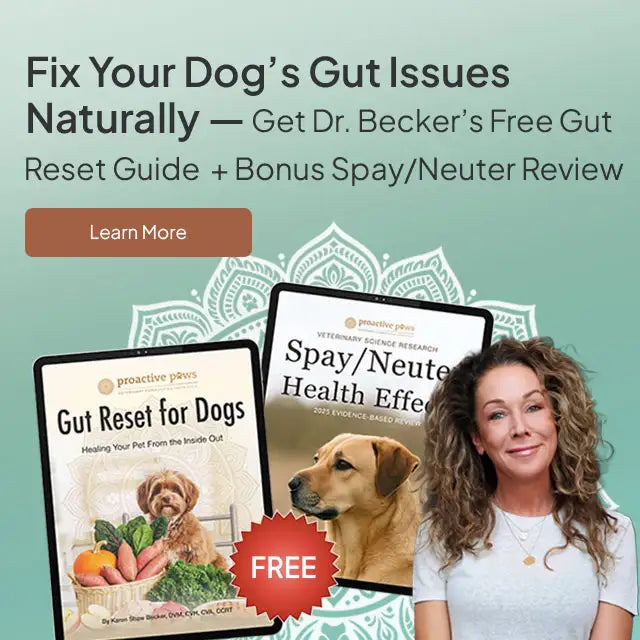 Dr. Karen Becker Free Guide to gut health