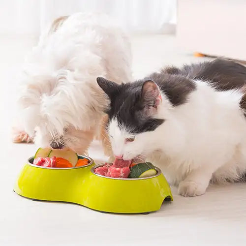 dog cat whole food detox meal