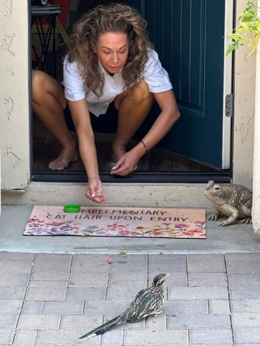 Dr becker feeding roadrunner and toad at doorstep