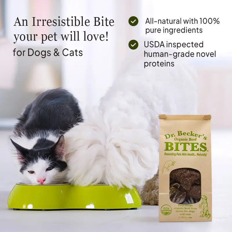 Dr. Becker's Organic Beef Bites - Proactive Paws