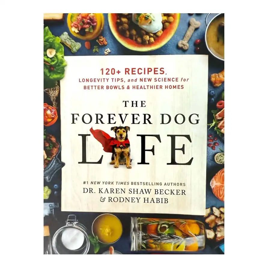 the forever dog life book featuring homer