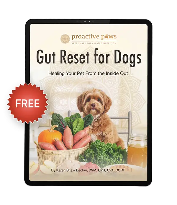 gut reset for dog free ebook
