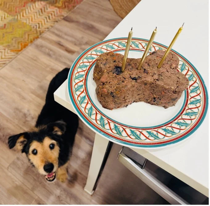 homer looking at meatloaf