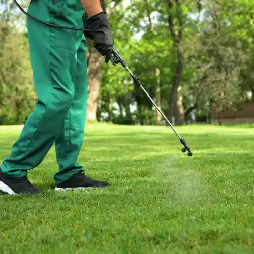 lawn pesticide application grass care