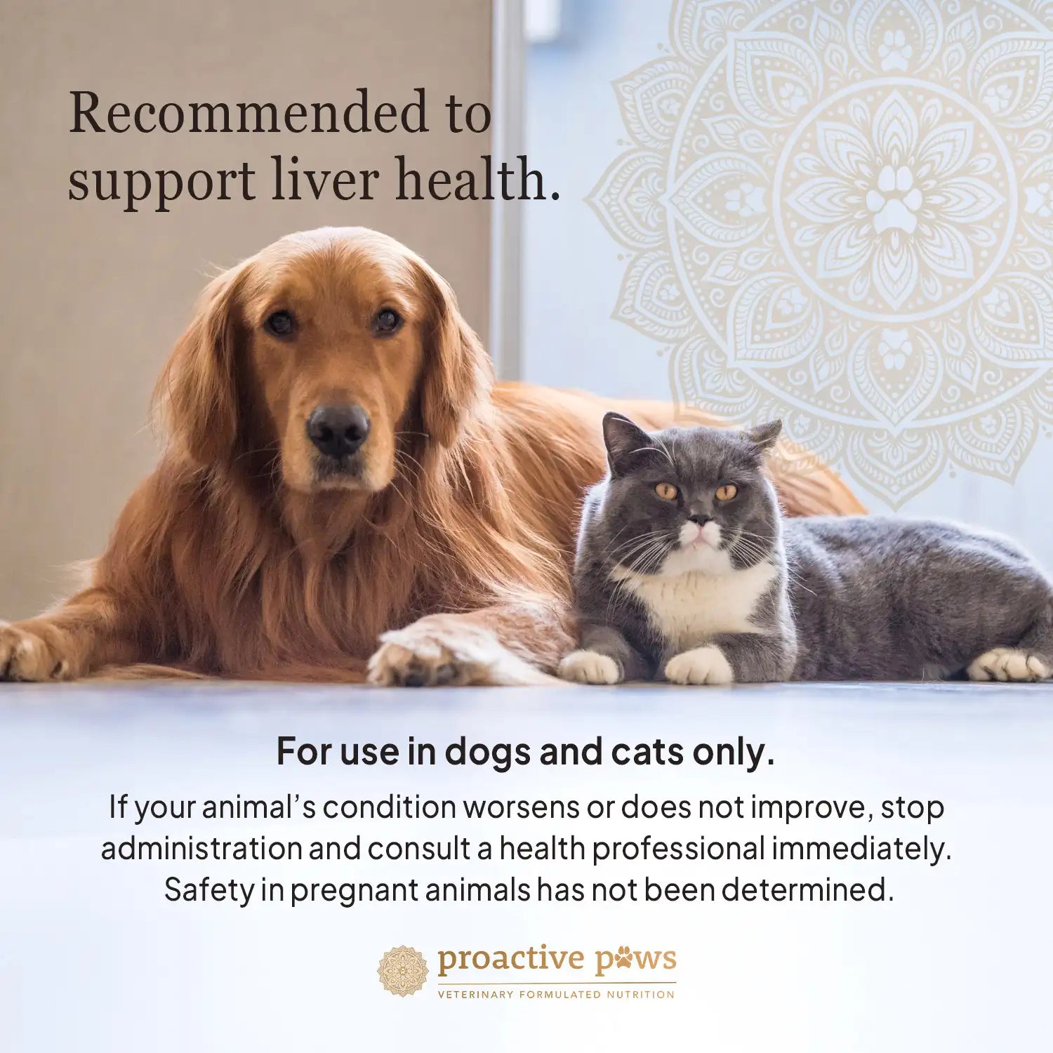 liver lift recommendation