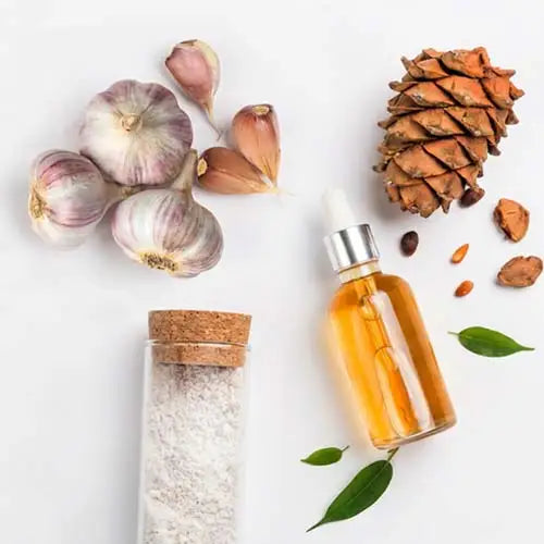 Flat lay of natural ingredients including garlic bulbs, a pine cone, a jar of salt, a dropper bottle with golden oil, seeds, and green leaves