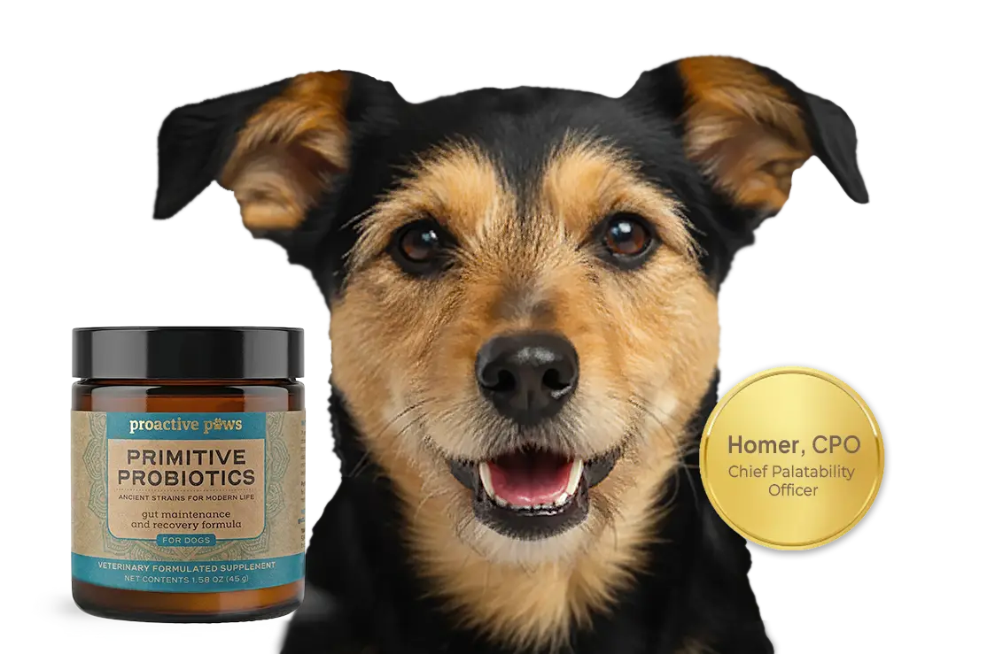 Project Pro Paws Proactive Paws™ | Veterinary-Formulated Pet Supplements