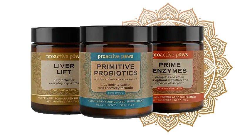 Dr. Becker’s Veterinary Formulas Collection