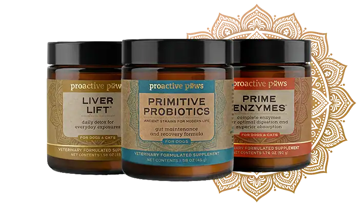 Pet Wellness Supplements by Dr. Karen Becker