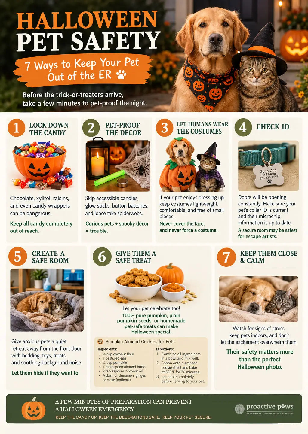 proactive paws halloween pet safety infographic