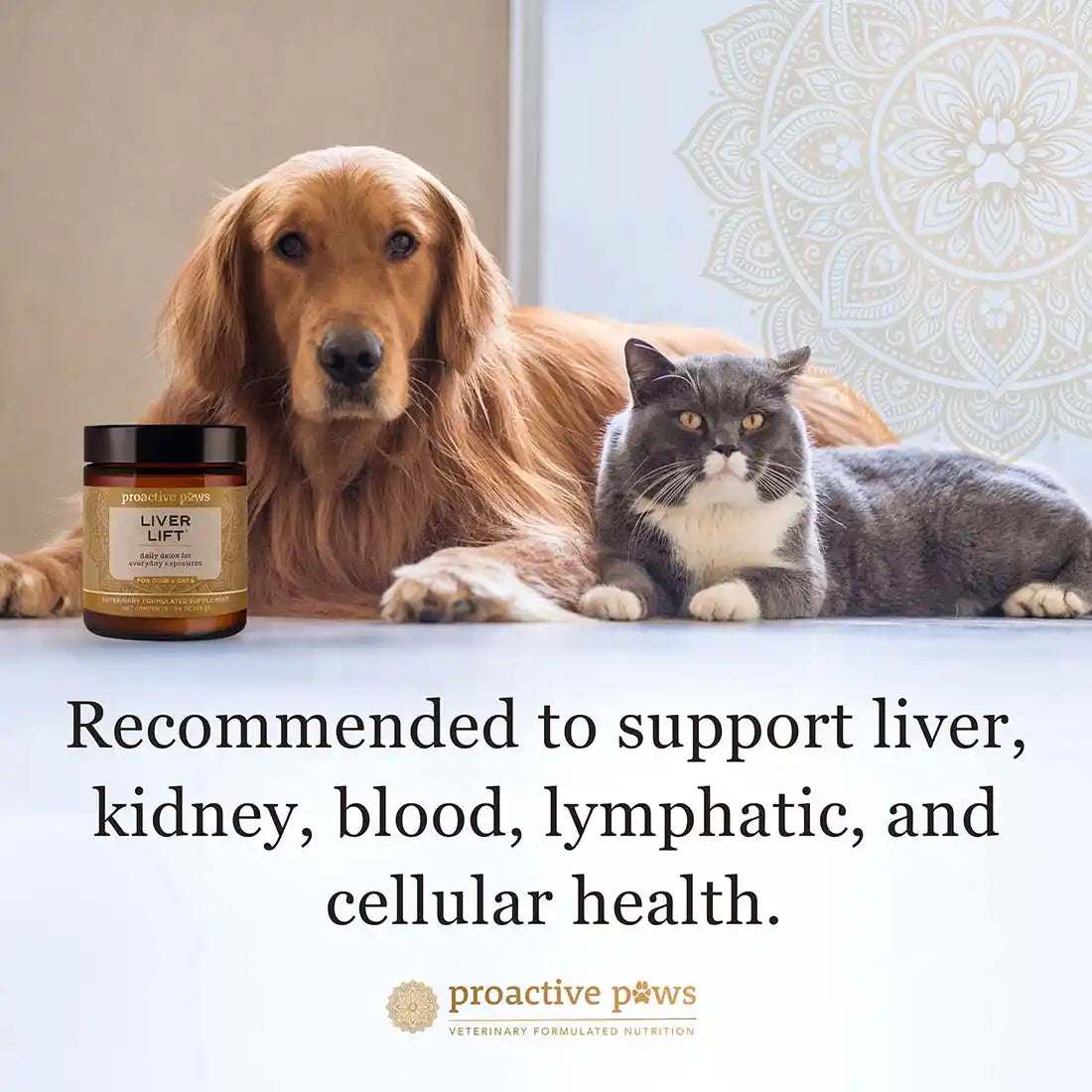 Liver Lift™ - Daily Detox - Proactive Paws