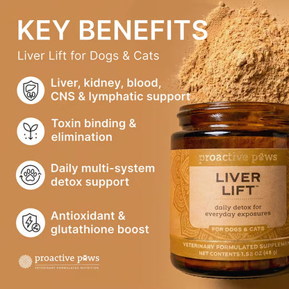 proactive paws liver lift daily detox key benefits