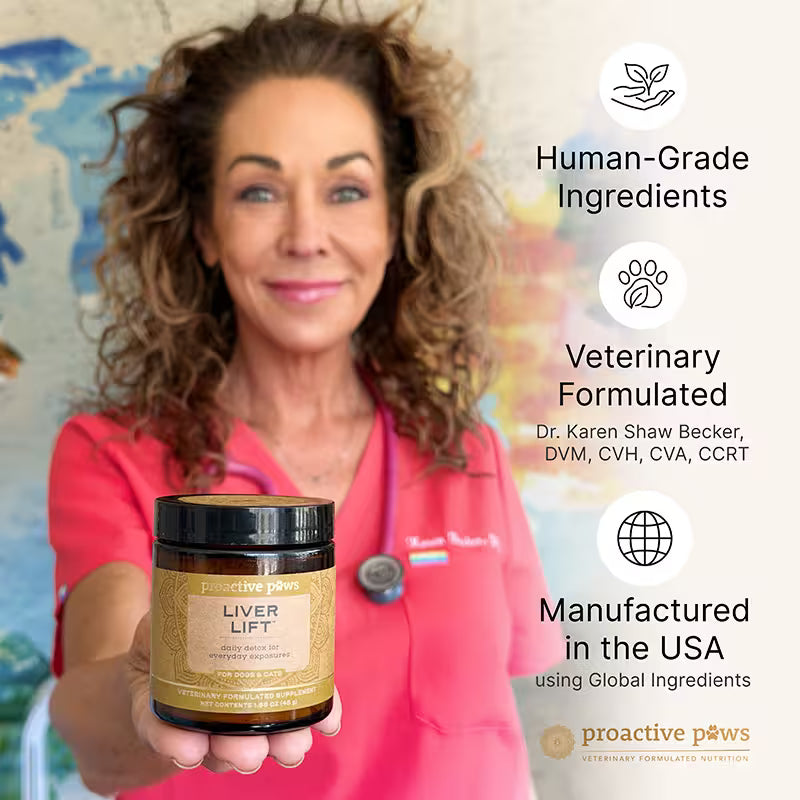 proactive paws liver lift daily detox with dr karen becker