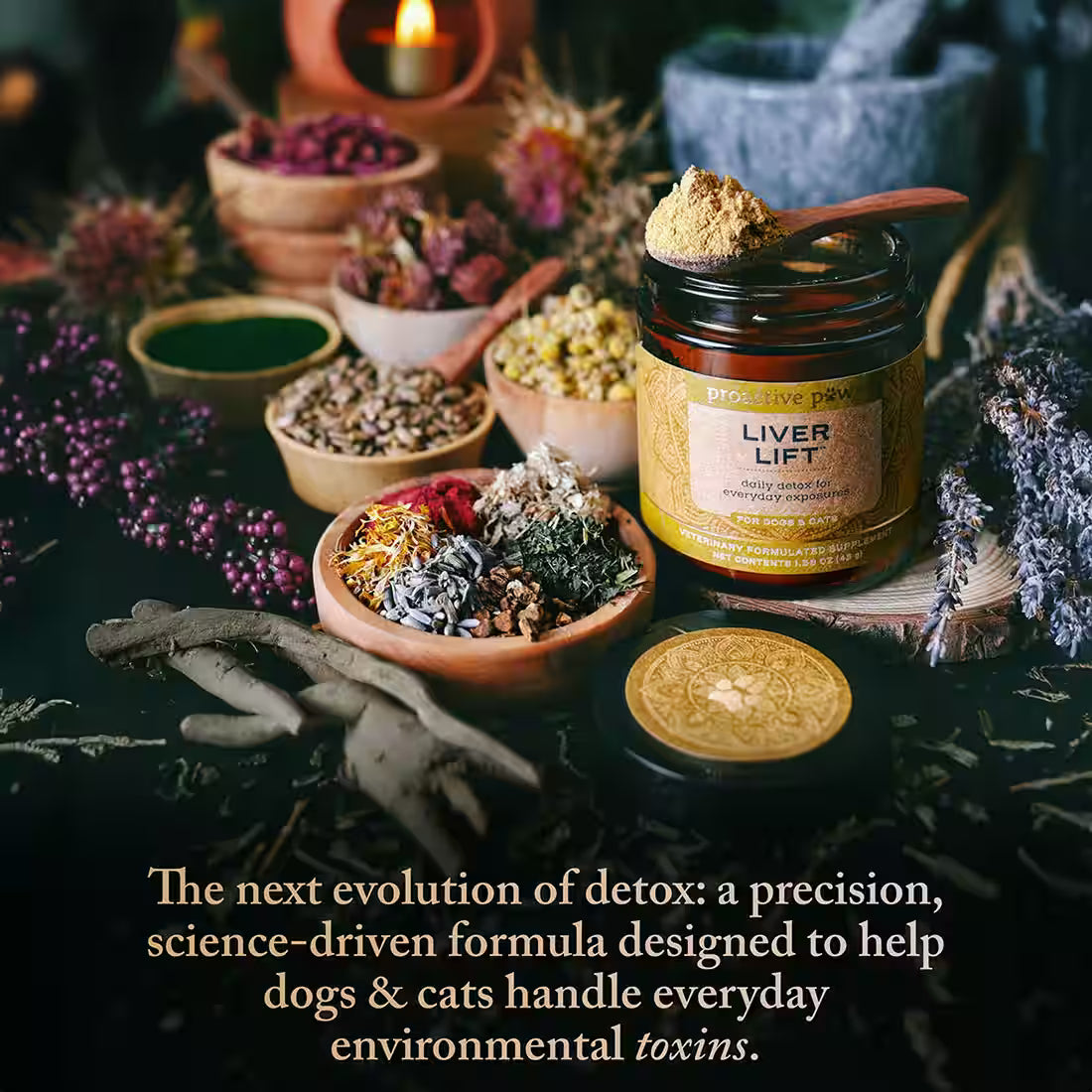 proactive paws liver lift the next evolution of detox