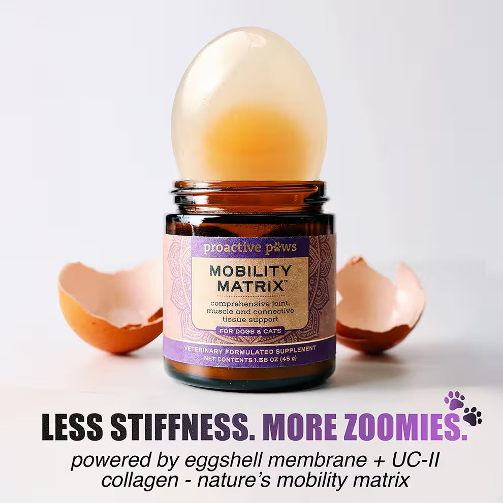 Bottle of Proactive Paws Mobility Matrix Eggshell membrane + UC-II collagen