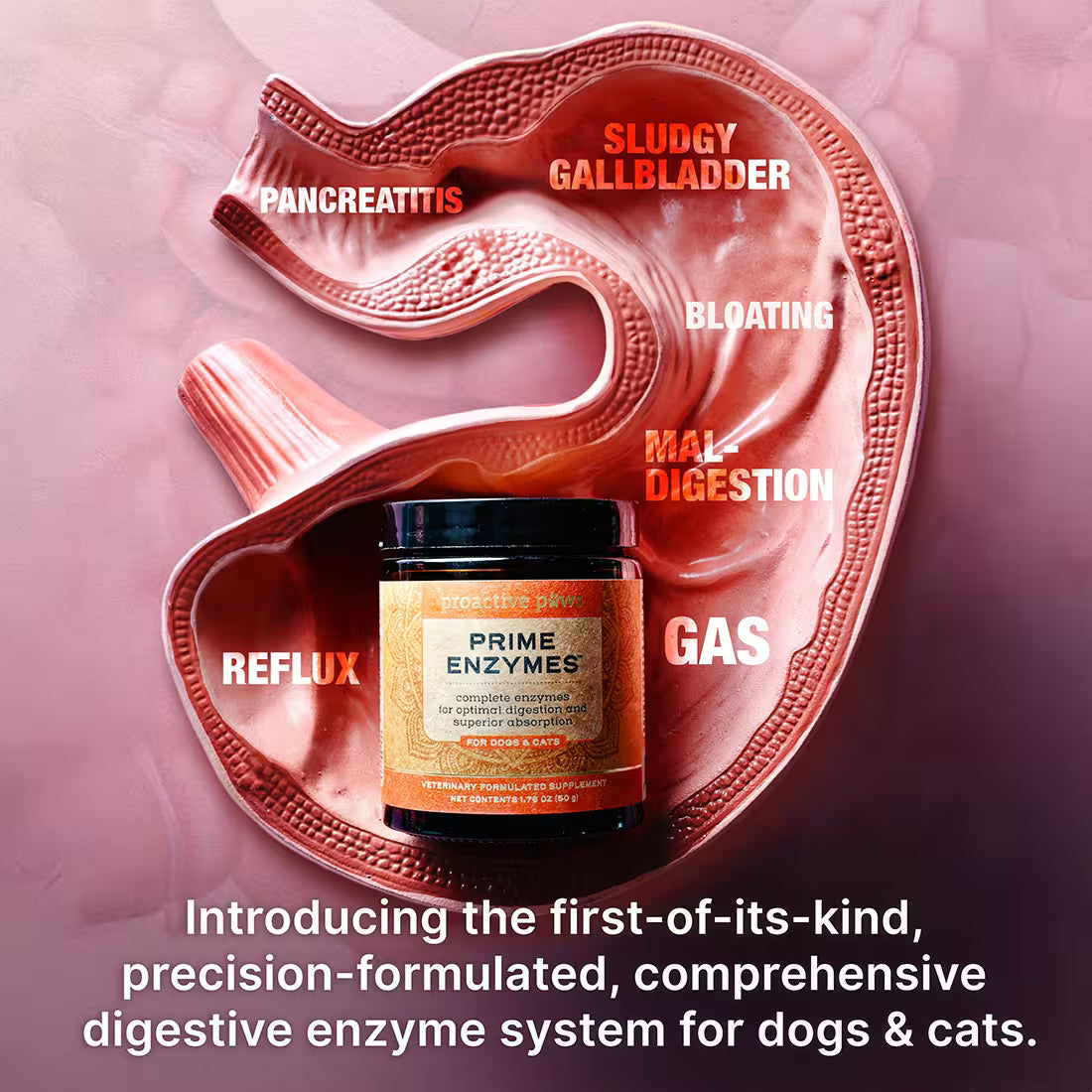 Proactive Paws Prime Enzymes Benefit