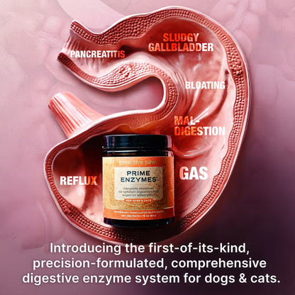 Proactive Paws Prime Enzymes Benefit