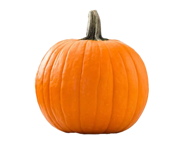 The Perfect Partner for Probiotics: Pumpkin