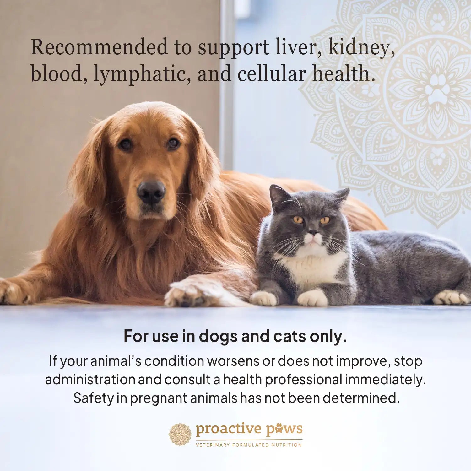 liver lift recommendation