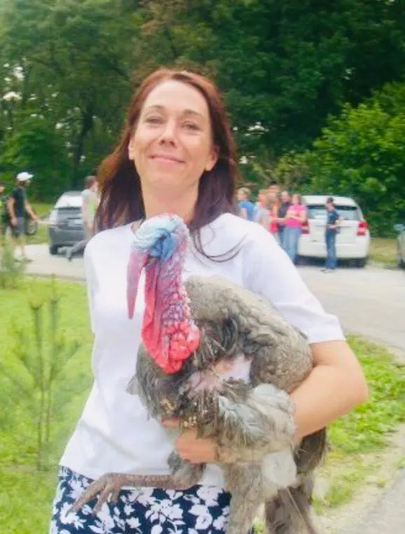 Tom the Turkey going to the barn