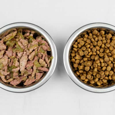 wet vs dry cat food bowls